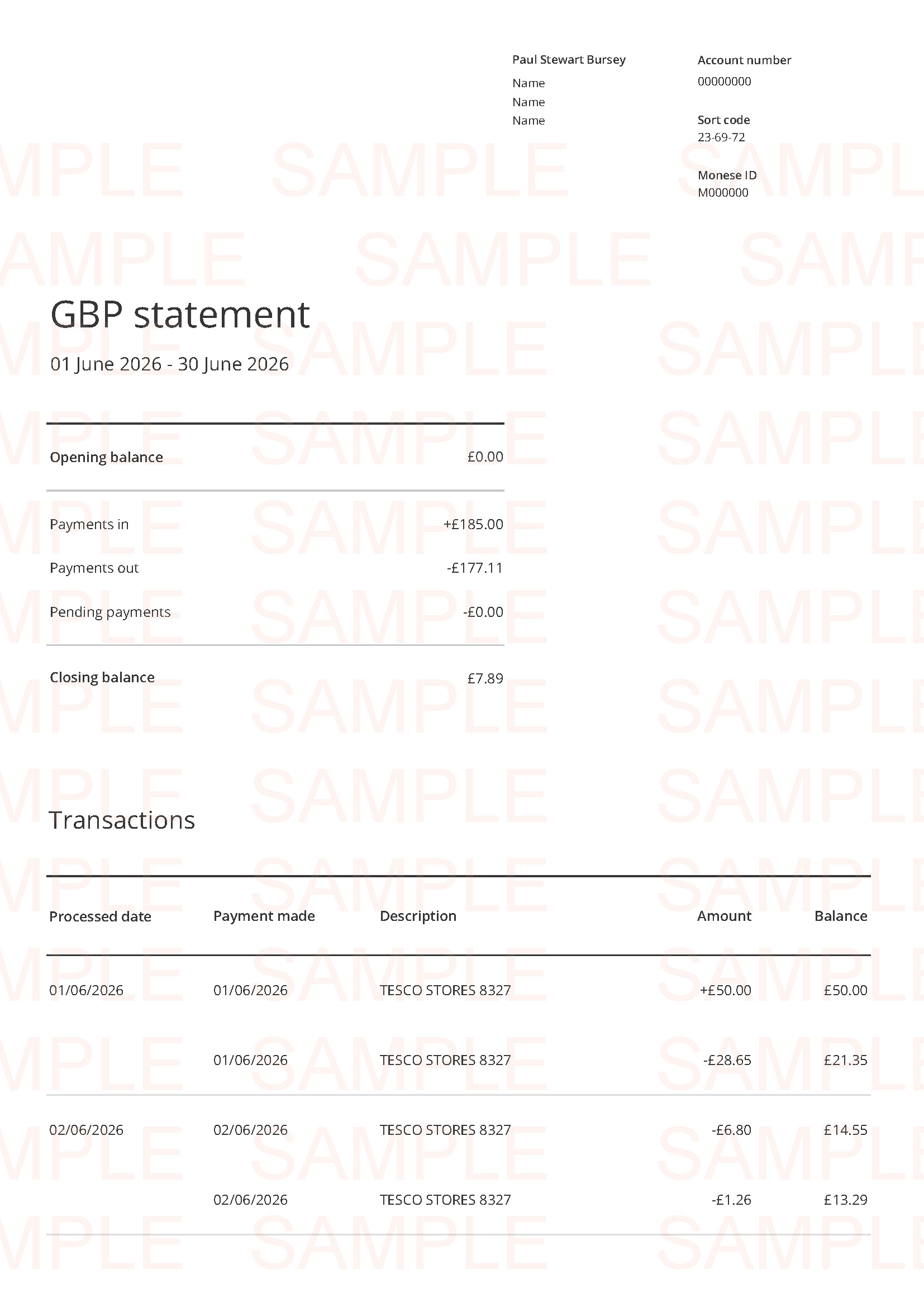 Replica Monese Bank Statement